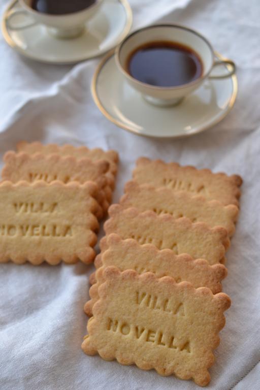 Bed And Breakfast Villa Novella Crocetta del Montello Bagian luar foto