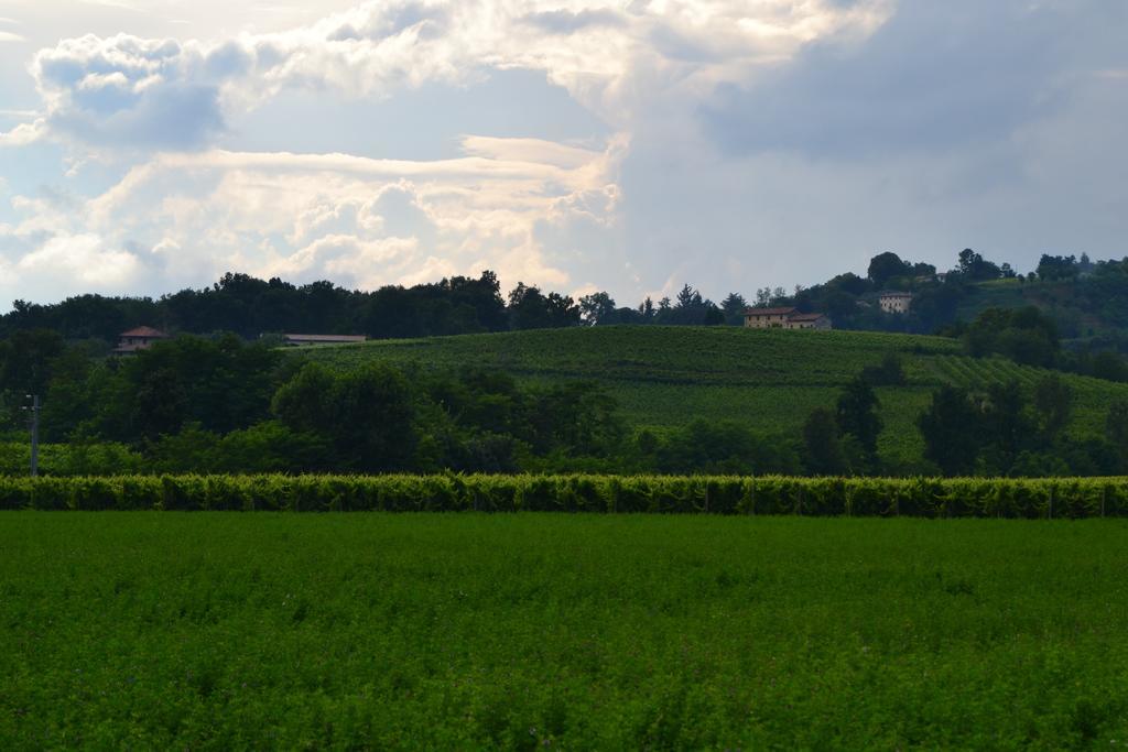 Bed And Breakfast Villa Novella Crocetta del Montello Bagian luar foto