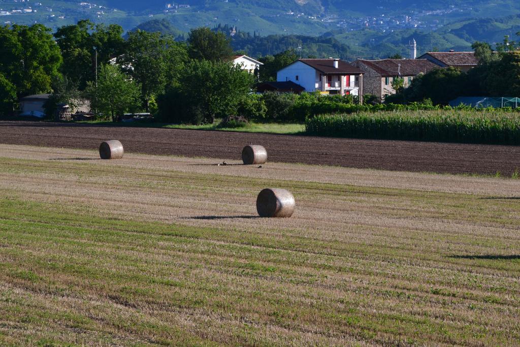 Bed And Breakfast Villa Novella Crocetta del Montello Bagian luar foto